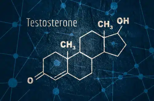 Testosterone and Its Types