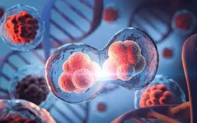 Stemcell Therapy Florida