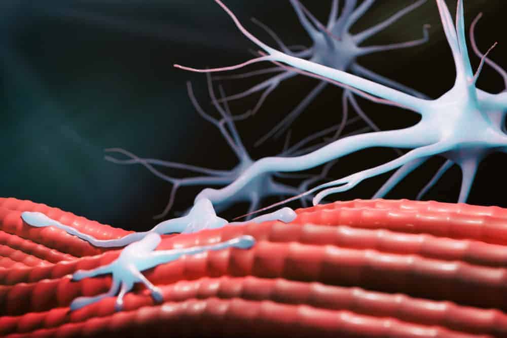 Stem Cell Injections