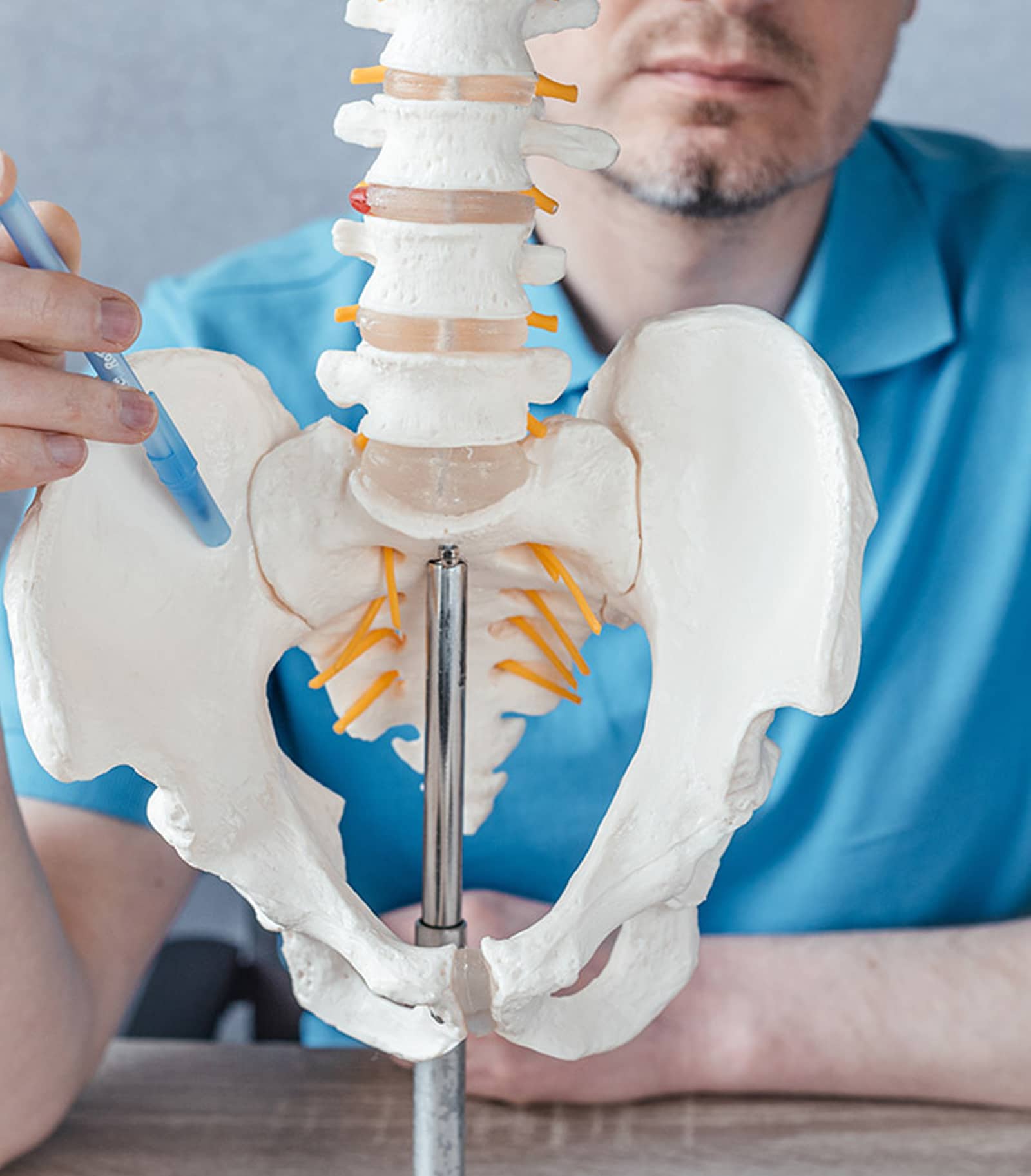 Sacroiliac Joints Sacroiliac Joints