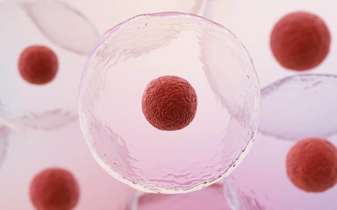 Stem Cells Injections