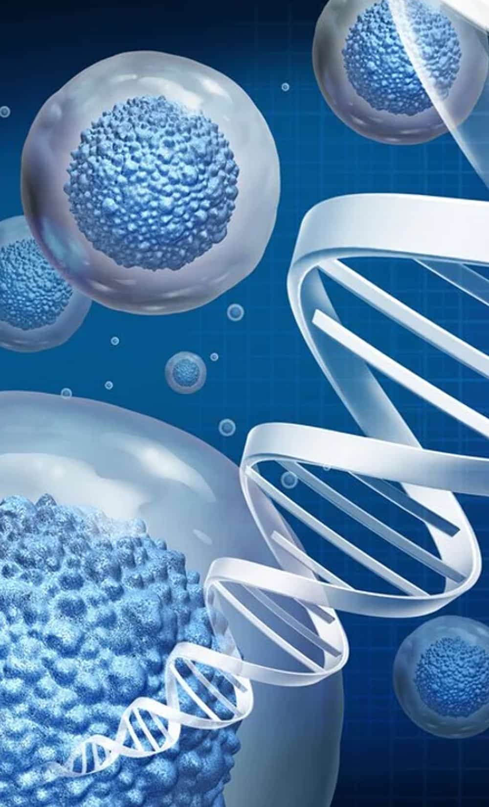 Stem Cell Injection Benefits Stem Cell Injection Benefits