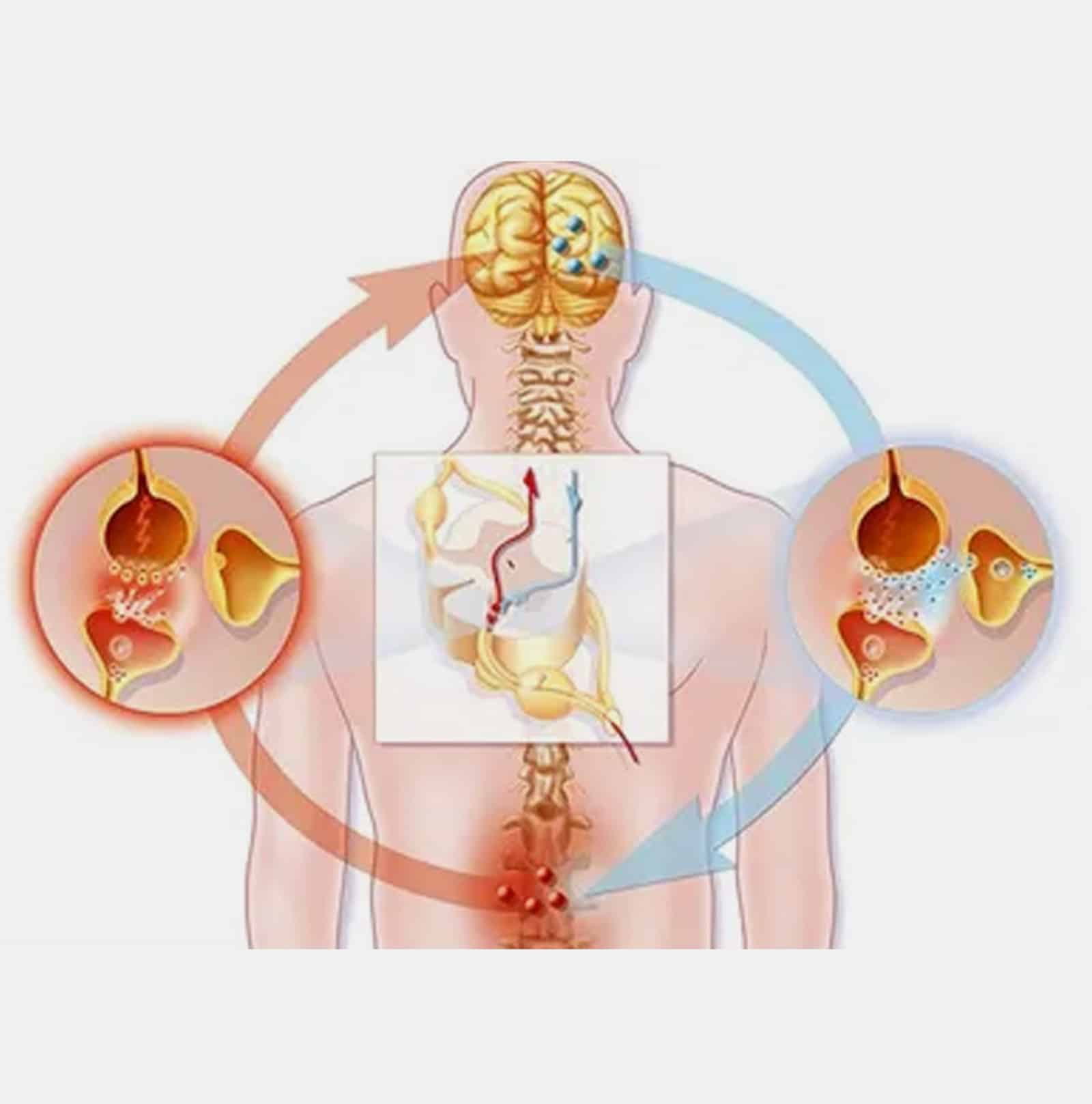 Causes Nerve Pain Causes Nerve Pain