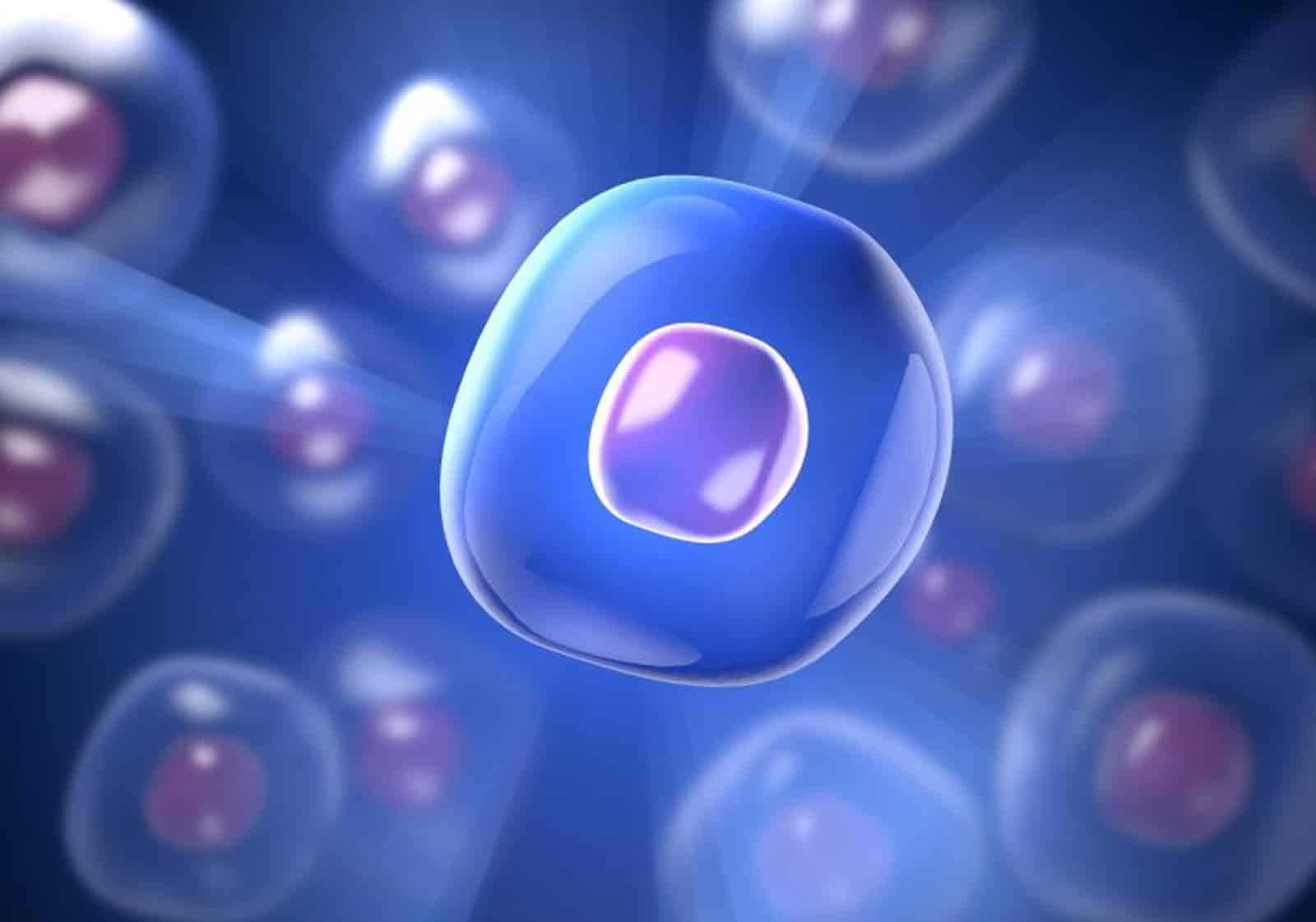 First Step Toward Regenerative Healing