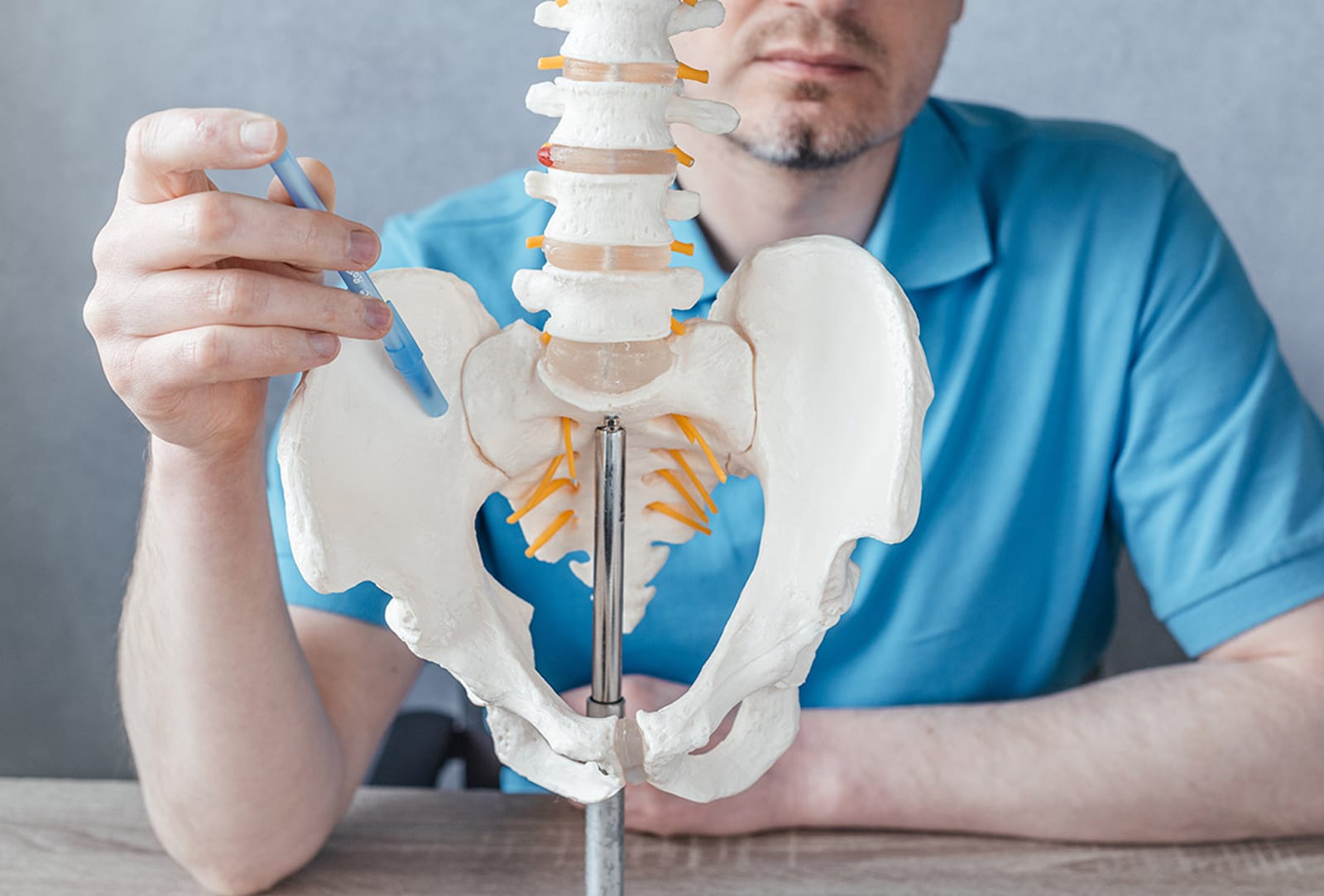 Sacroiliac Joints
