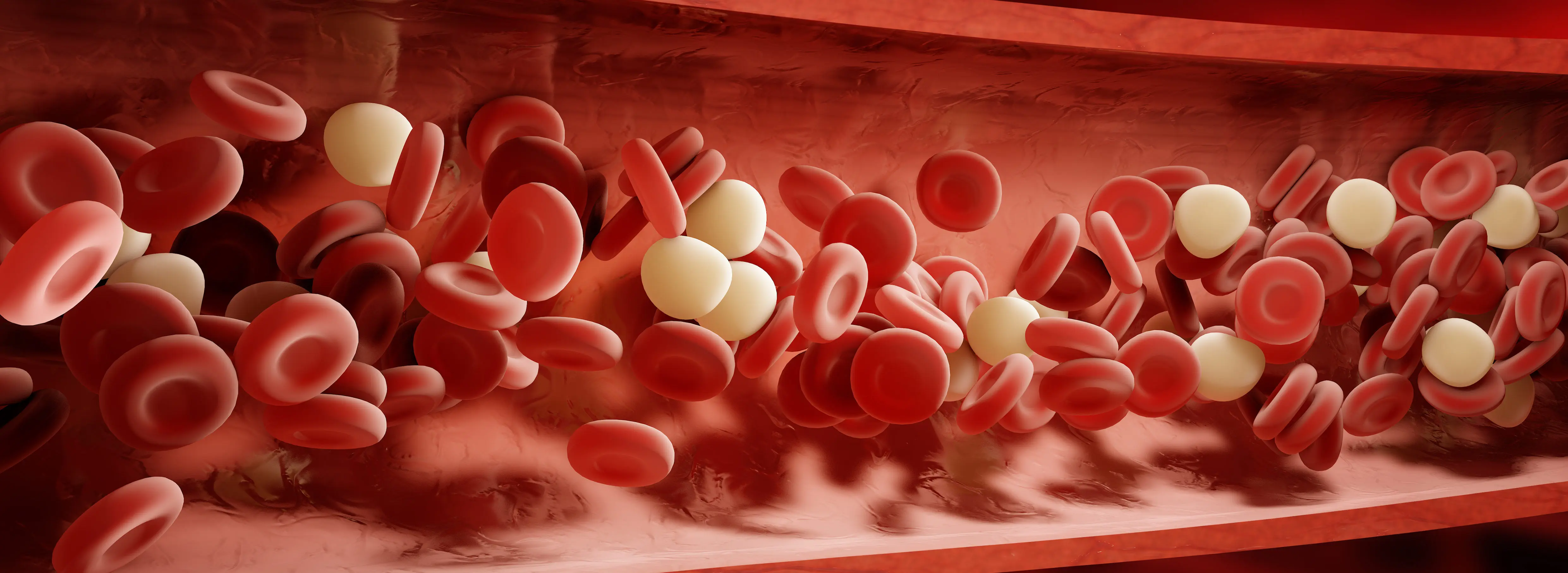 bone marrow aspirate concentrate treatments near me