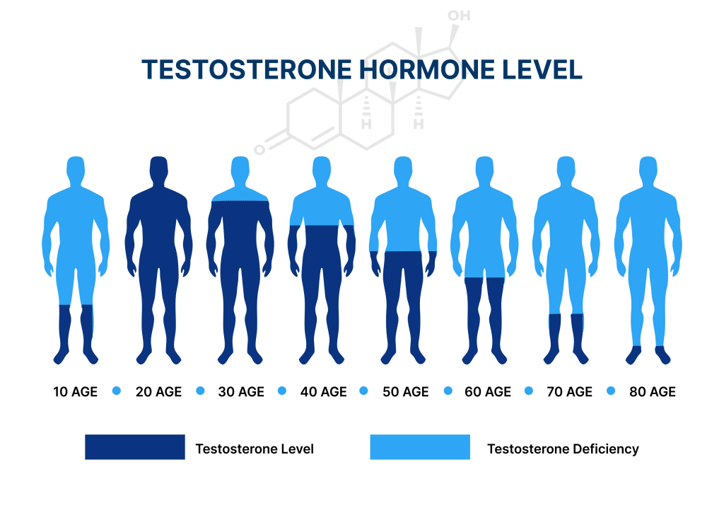 Male Hormone Replacement Therapy