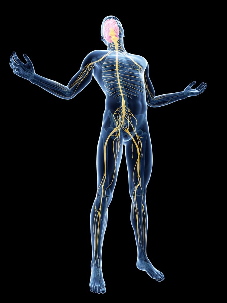 Nerve Pain Medication