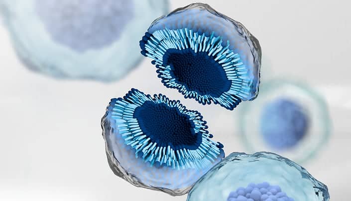 What Are Exosomes