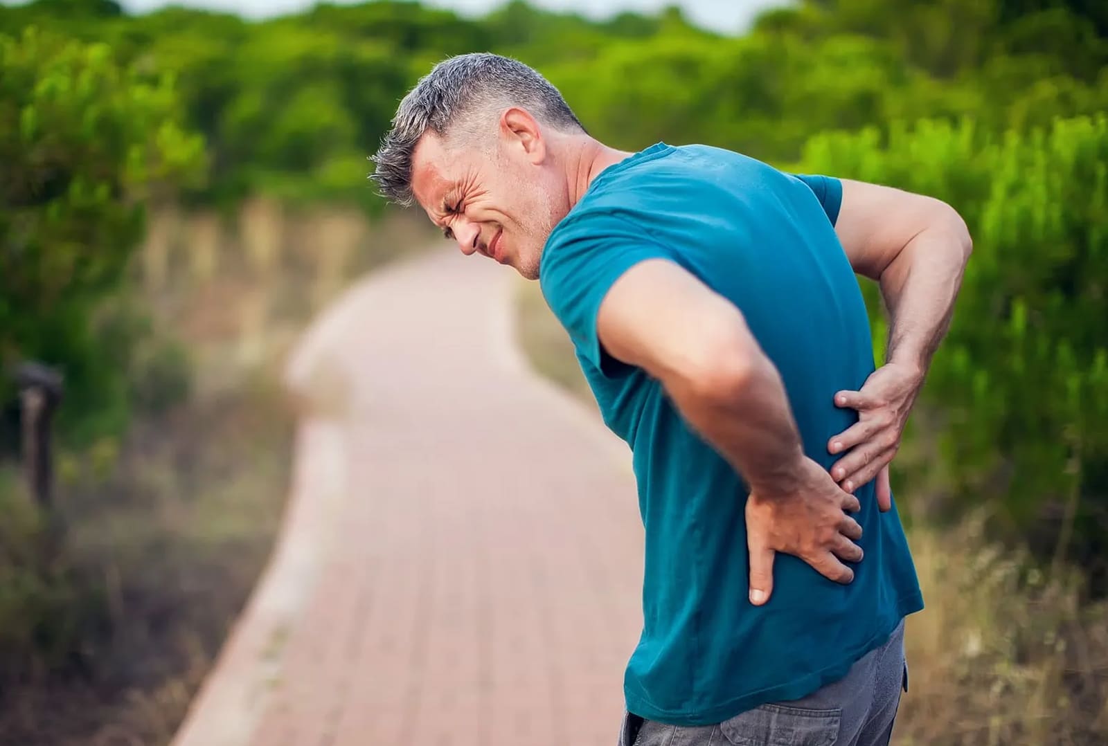 Facet Joints Pain Facet Joints Pain